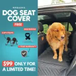 MrBarks Dog Seat Cover